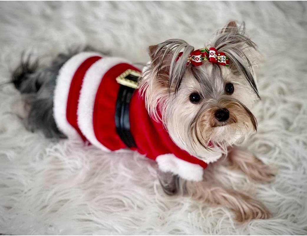 Dog Christmas Dresses Cat Xmax Suits Small Pet Haliday Outfits Winter Warm Clothes (Red, M)