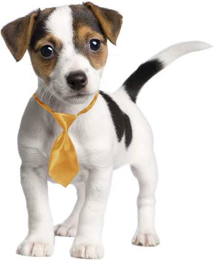 Small Dog Ties, 40 PCS Dog Neck Bow Tie with Adjustable Solid Color Pet Bowtie Collar for Wedding Holiday Birthday Christmas Costumes Grooming Accessories, Bulk Necktie Gift for Cat Puppy Pets