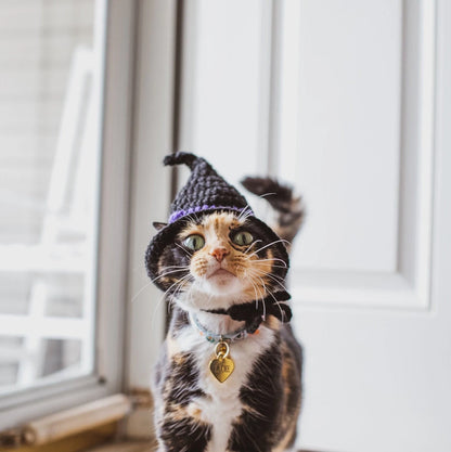 Witch Hat Cat Costumes Cat Accessories Cat Clothings Cat Accessories Cat Supplies Pet Costumes Pet Accessories Pet Clothings Pet Su