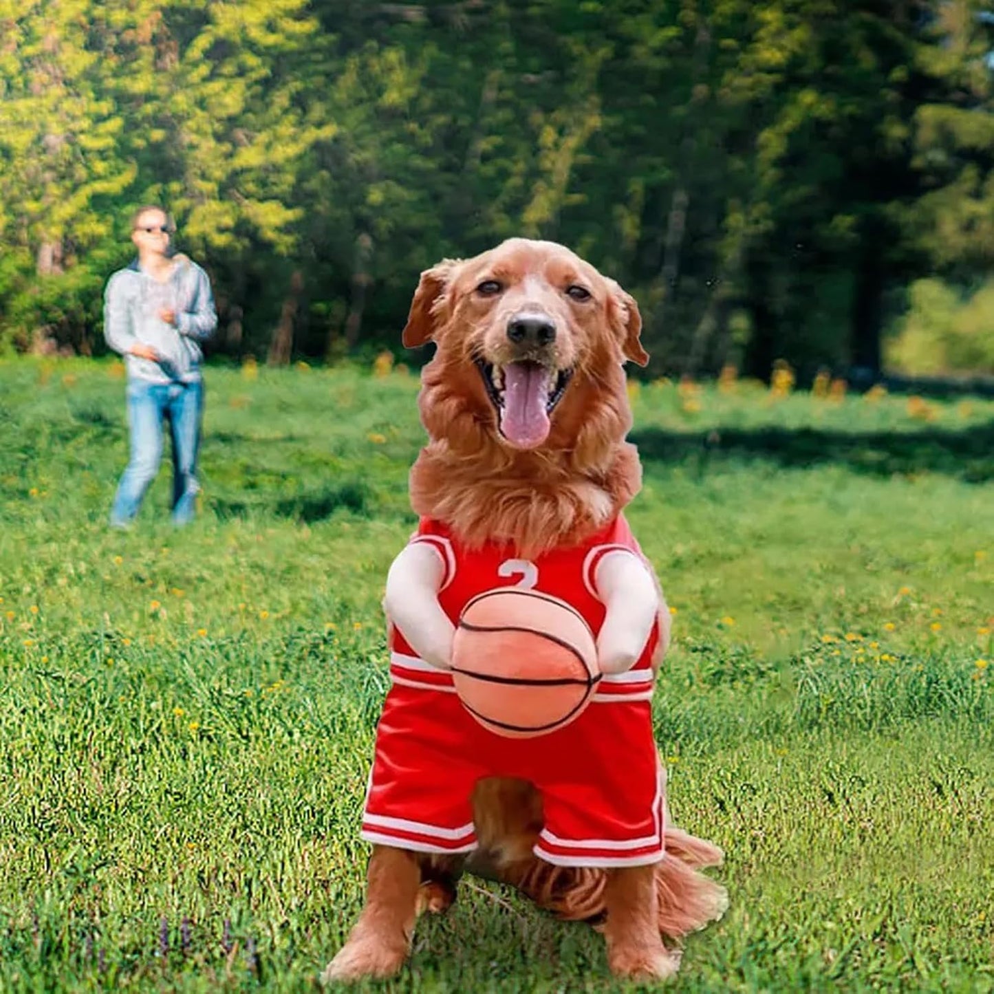 Pet Costumes Dog Basketball Player Costume Halloween Costumes for Dogs Funny Dress up Sports Outfit Cosplay Clothes for Small Dog Costume
