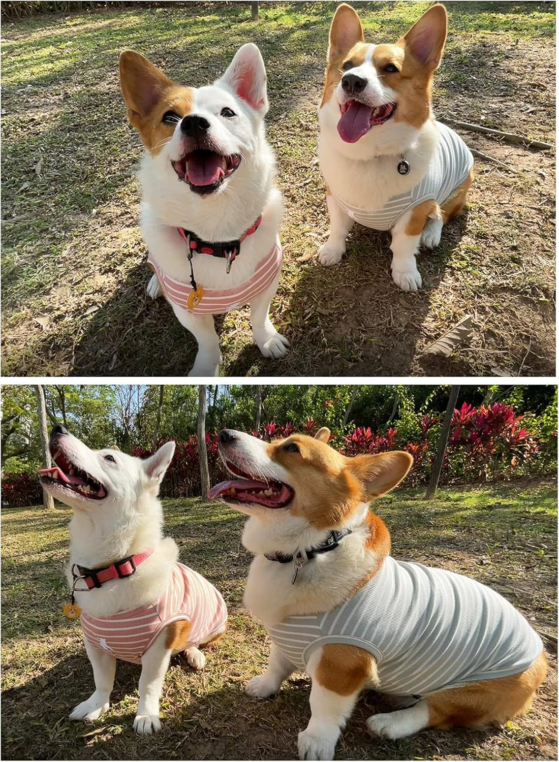 Dog Shirt Vest Lightweight Stretchy Dog T-Shirt Soft Cool Shirts Sleeveless Stripe Vests Breathable Clothes for Puppy Kitty Cats Small Medium Large Dogs 2 Pack Pink + Green [Xl/Extra Large]