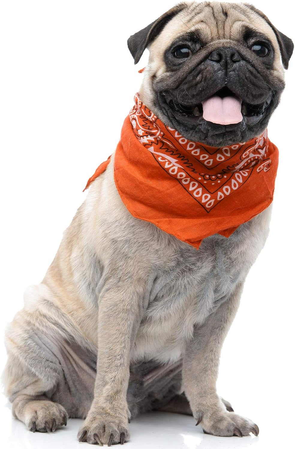 6 Paisley Polyester Dog & Cats Bandana Triangle Bibs - Washable & One Size (Mix
