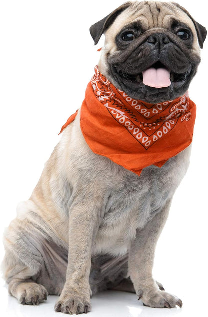 6 Paisley Polyester Dog & Cats Bandana Triangle Bibs - Washable & One Size (Mix