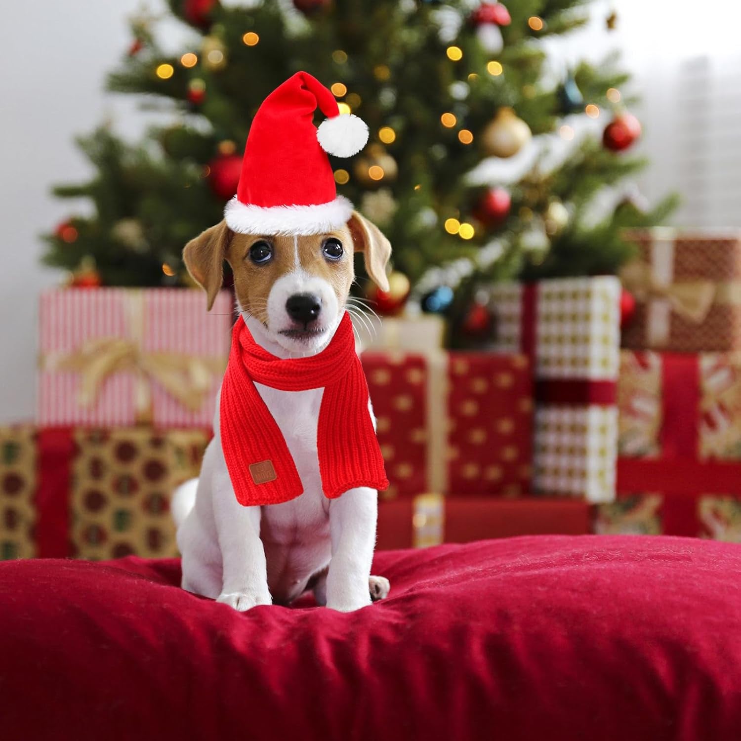 Dog Santa Hat and Scarf Christmas Dog Costumes Pet Santa Hat Christmas Dogs Scarf for Small to Medium Dogs and Cats