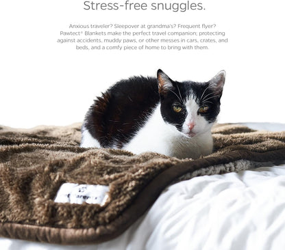 Pawtect Premium Waterproof Cat & Dog Blanket with Wickquick & Sherpup Technology, Puppy & Cat Blanket, Slate 50X60