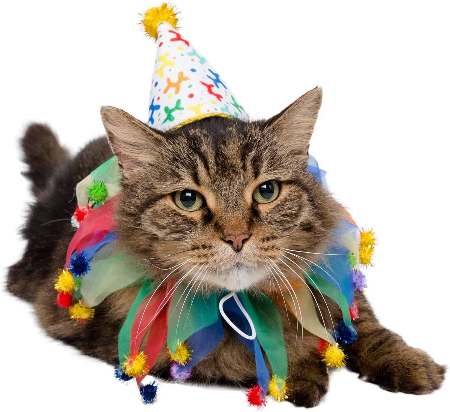Dog Clown Costume Happy Birthday Hat & Collar Outfit | 1St Bday Party, National Cat Day, Photo Shoots & Celebrations | Doggie & Puppy Clothes | Ideal Gift for Small, Medium & Large Pets