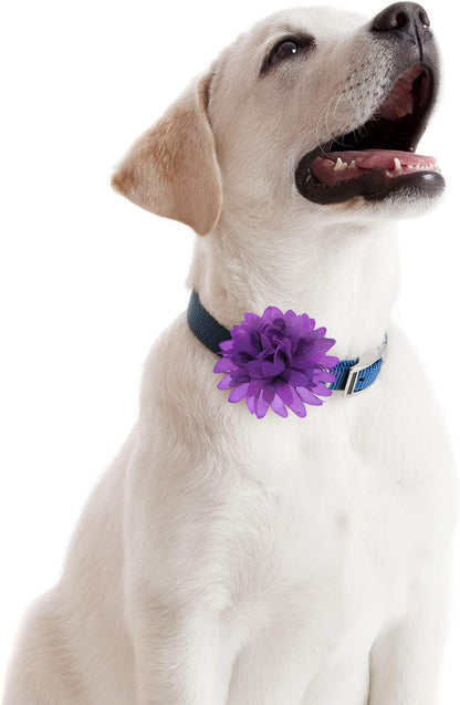 20 Pcs 4 Inch Dog Collar Flowers Bow Multicolored Pet Bow Collar Charms Accessories for Puppy Cat Dog Pet Grooming Accessories