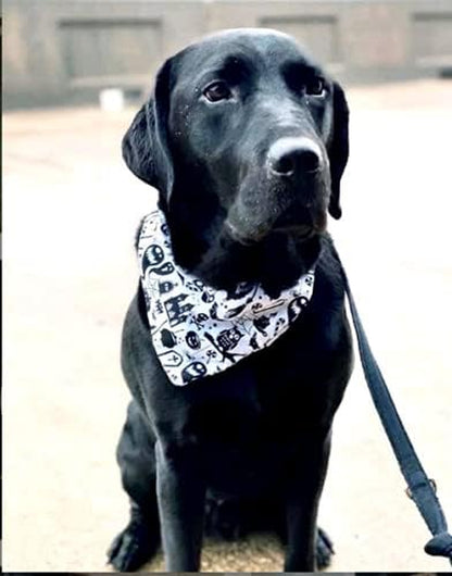 Halloween Bandana for Dogs, 2 Pack White and Black Halloween Dog Scarf