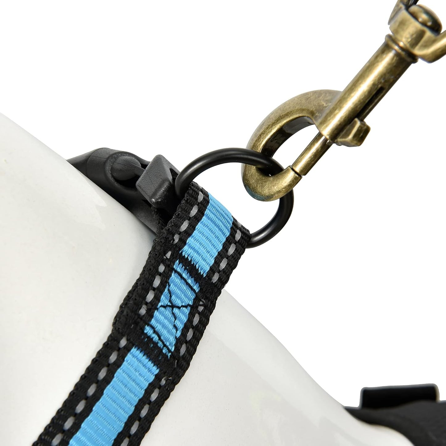 Dog Collar | Nylon Reflective Dog Collars | Light Weight Puppy Collars | Blue Dog Collars for Small Dogs (Blue, Small)