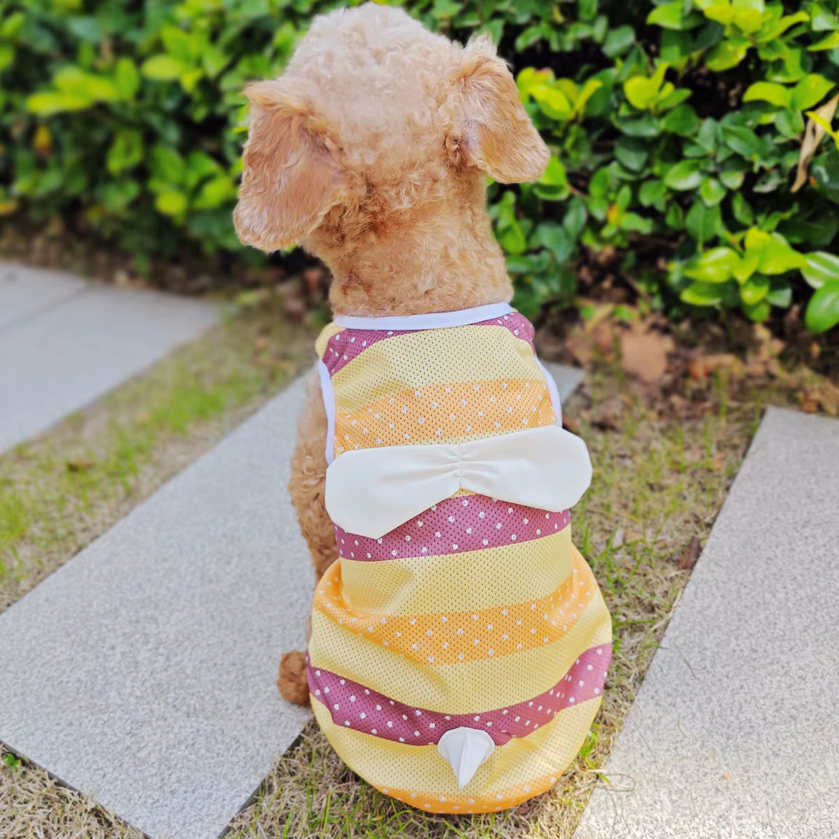 Cooling Dog Clothes Summer Cute Funny XS XXL Pet Costumes for Small Medium French Bulldog Terrier Chihuahua Yorkie Pug Cat Coat