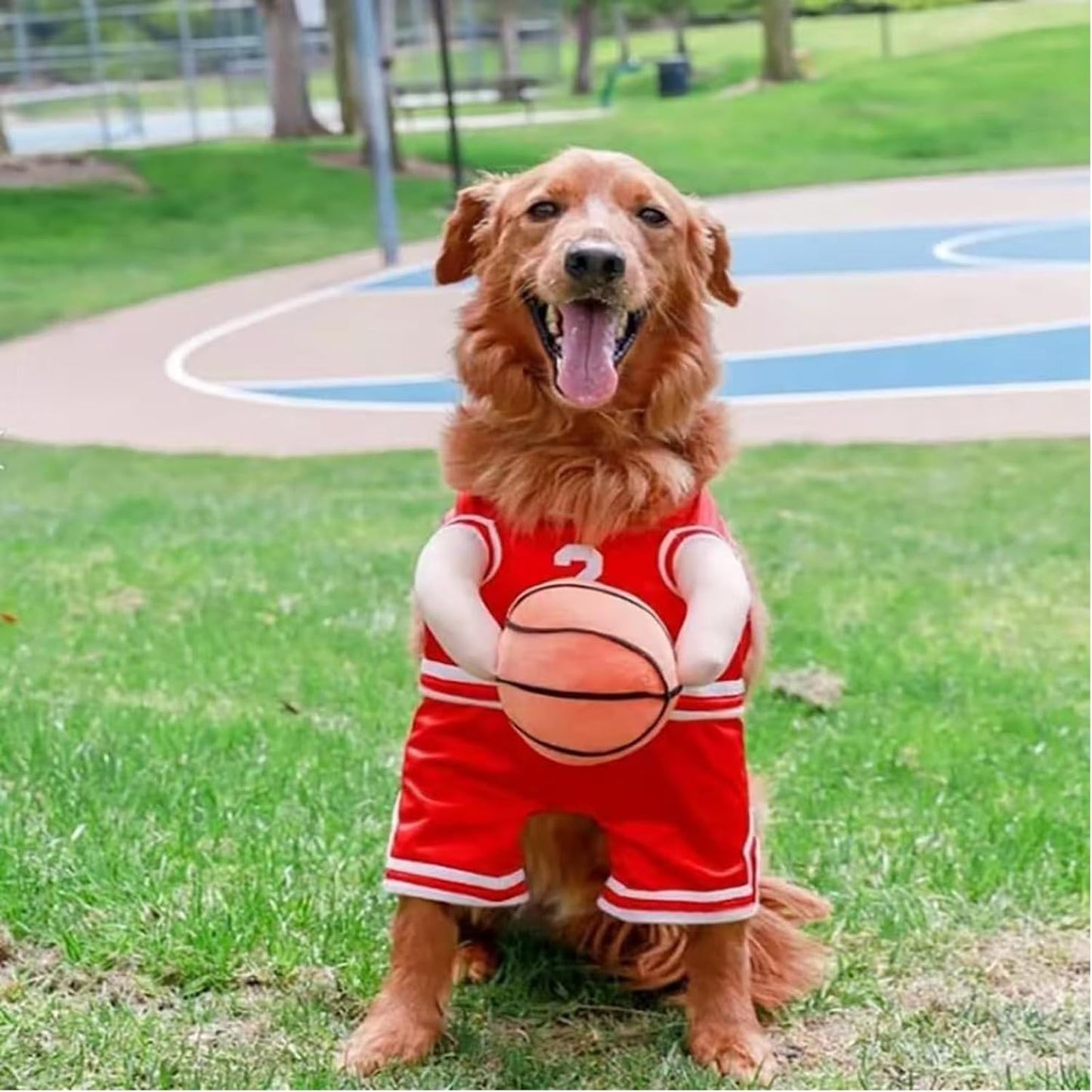 Pet Costumes Dog Basketball Player Costume Halloween Costumes for Dogs Funny Dress up Sports Outfit Cosplay Clothes for Small Dog Costume