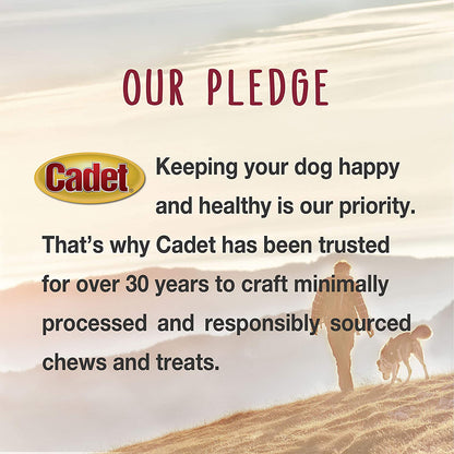 Gourmet Duck Breast Jerky Dog Treats, Healthy, Long-Lasting High-Protein Training Treats for Small & Large Dogs, 14 Oz.