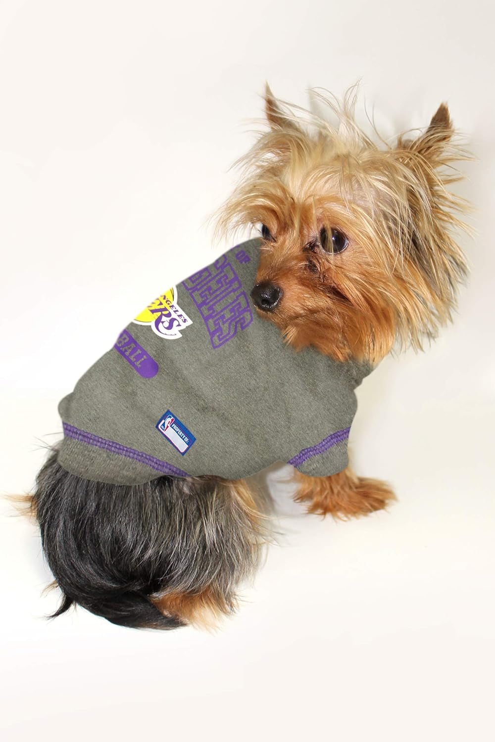 NBA Licensed Pet Apparel: Los Angeles Lakers Hoodie and T-Shirt for Dogs and Cats, Size X-Small