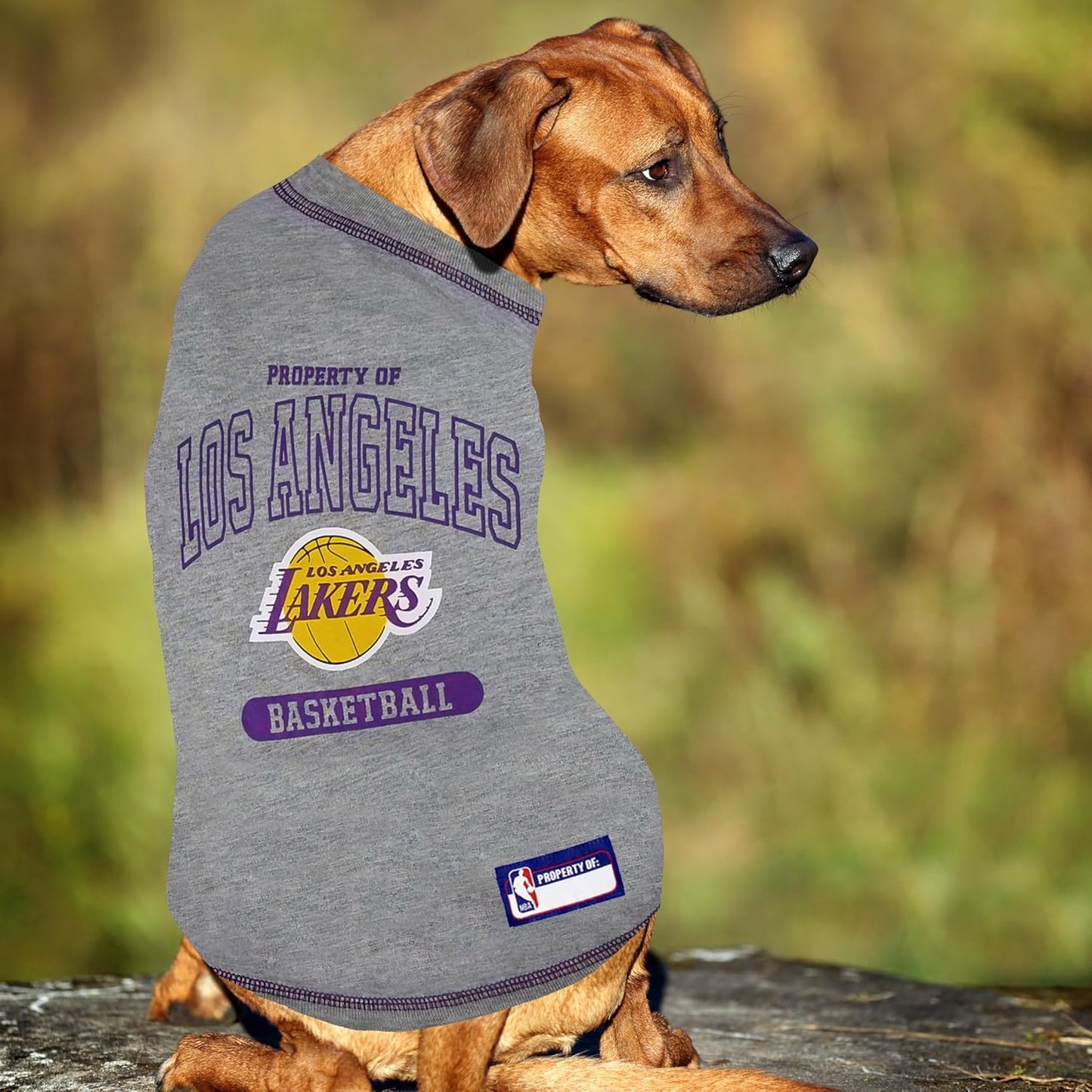 NBA Licensed Pet Apparel: Los Angeles Lakers Hoodie and T-Shirt for Dogs and Cats, Size X-Small