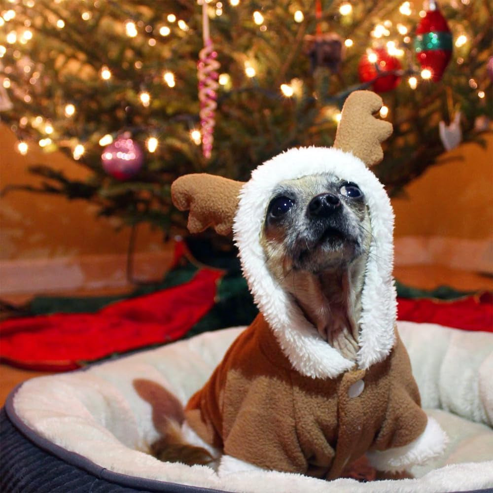 Pet Costumes Christmas Suit Elk Santa Costume Polar Fleece Fit for Puppy Dog Teddy (Small)