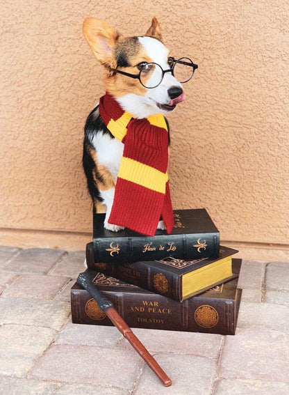 Red Yellow Striped Scarf Dog Costume - X Large Medium Small French Lab Clothes Cosplay Halloween Costumes, M, Red