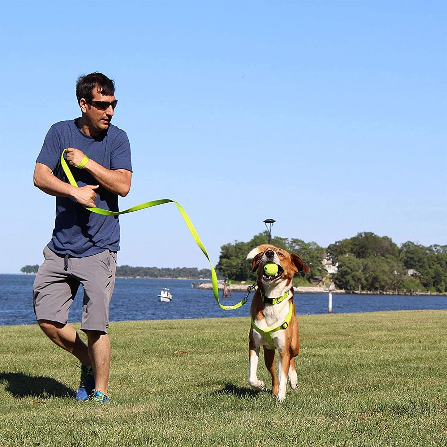 6 FT Solid Color Leash - Comfortable Handle Dog Training Leash 6 Ft Medium/Large Pink