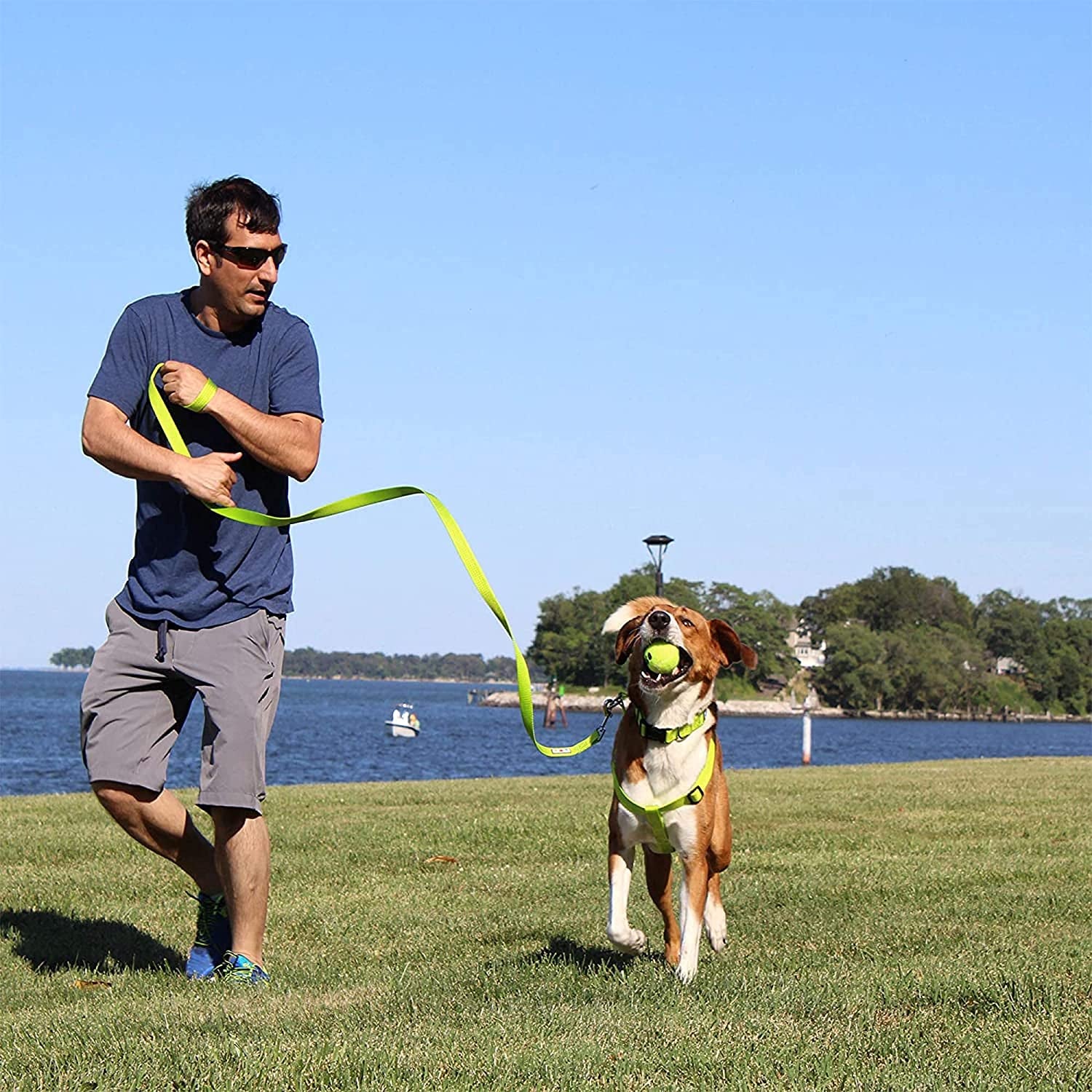 6 FT Solid Color Leash - Comfortable Handle Dog Training Leash 6 Ft Medium/Large Pink