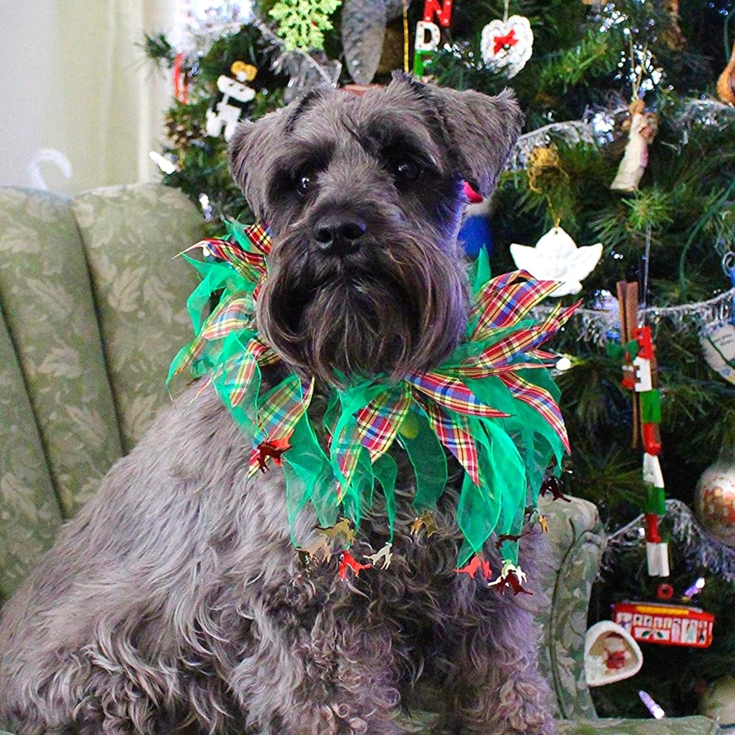 Plaid and Green Decorative Dog Collar (Small)