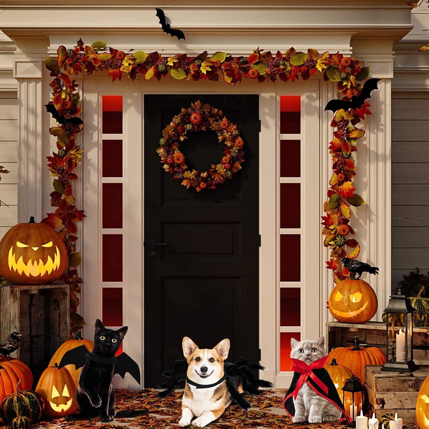 3 Piece Halloween Cat Dog Costume Set, Pet Bat Witch Vampire Pumpkin Cloak Giant Imitation Pet Spider Pets Costume Cosplay Accessories Halloween Pets Decoration for Dogs Puppy Cats (Gothic,M)