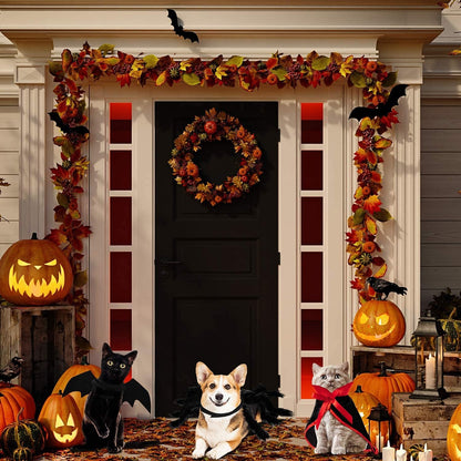 3 Piece Halloween Cat Dog Costume Set, Pet Bat Witch Vampire Pumpkin Cloak Giant Imitation Pet Spider Pets Costume Cosplay Accessories Halloween Pets Decoration for Dogs Puppy Cats (Gothic,M)