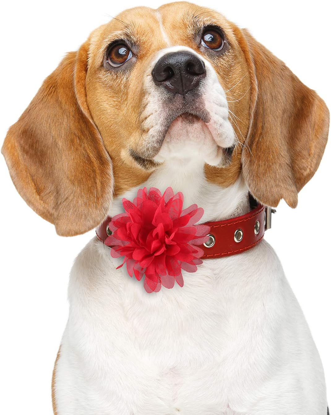 20 Pcs 4 Inch Dog Collar Flowers Bow Multicolored Pet Bow Collar Charms Accessories for Puppy Cat Dog Pet Grooming Accessories