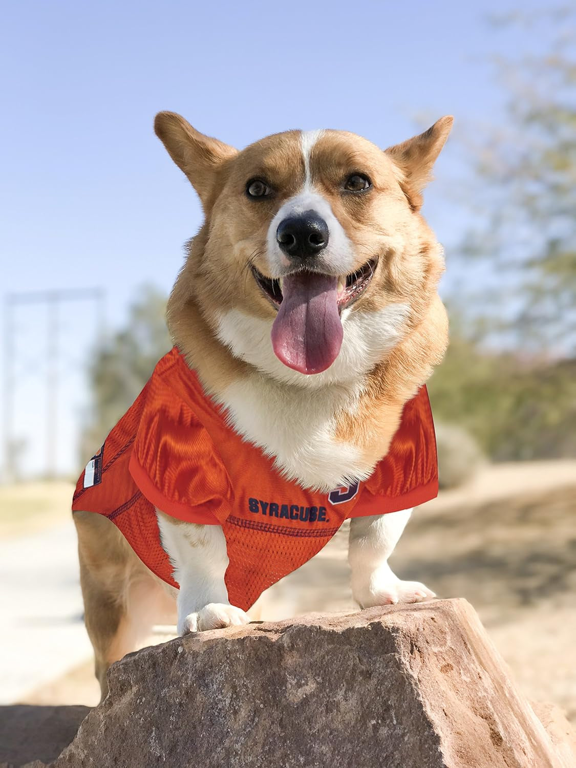 NCAA College Syracuse Orange Mesh Jersey for DOGS & CATS, Medium. Licensed Dog Jersey with Your Favorite Football/Basketball College Team