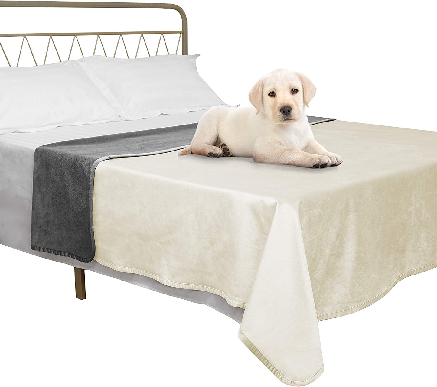 Pet Bed Blanket Reversible 100% Waterproof Velvet Super Soft for Sofa and Bed (40X60 Inches, Cream+Grey)