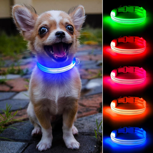 Light up Dog Collar for Small Dogs, Reflective LED Dog Collar Rechargeable Puppy Collar Glowing Cat Collars Safety Dog Lights for Night Walking (Royal Blue)