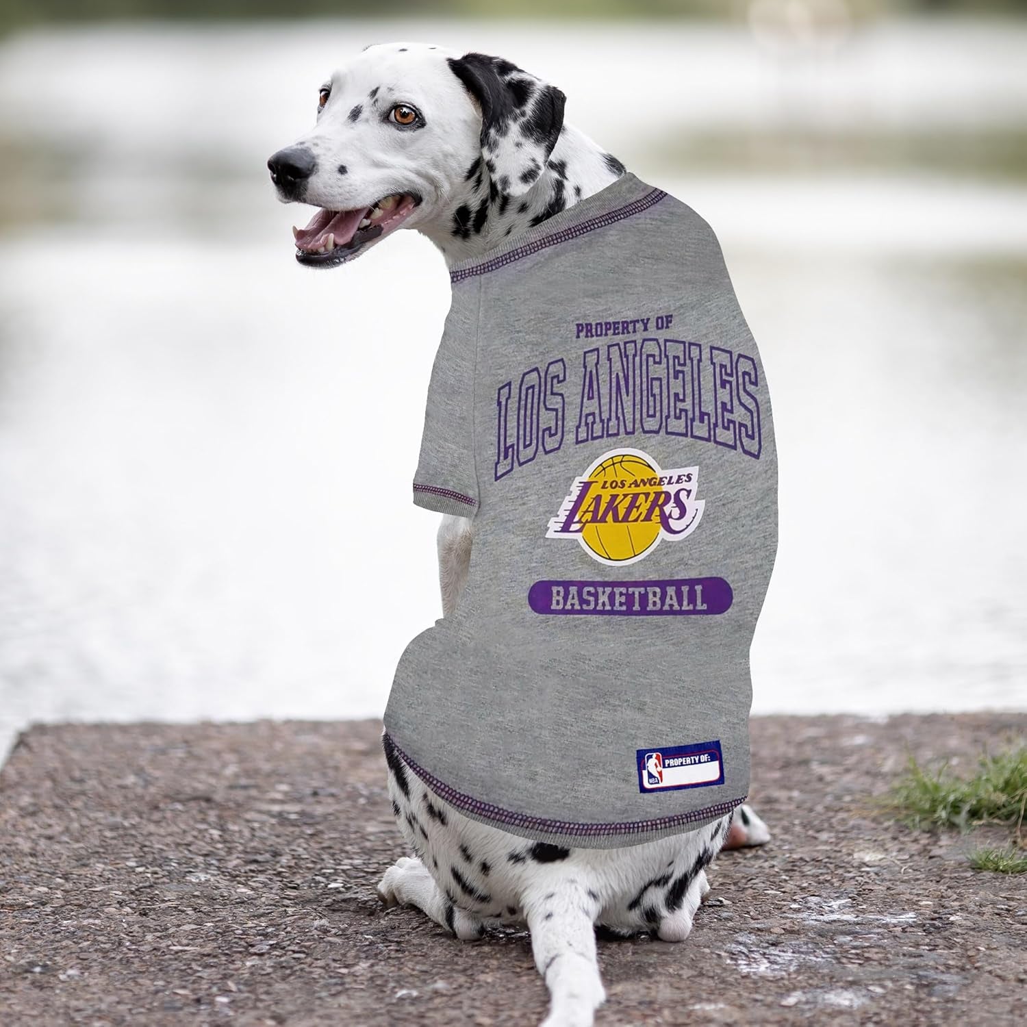 NBA Licensed Pet Apparel: Los Angeles Lakers Hoodie and T-Shirt for Dogs and Cats, Size X-Small