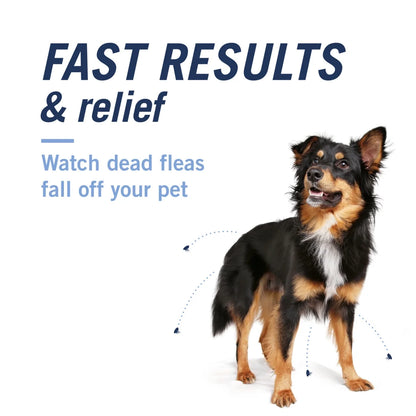 (2 Pack)  CAPACTION Fast-Acting Oral Flea Treatment for Medium and Large Dogs