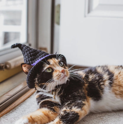 Witch Hat Cat Costumes Cat Accessories Cat Clothings Cat Accessories Cat Supplies Pet Costumes Pet Accessories Pet Clothings Pet Su