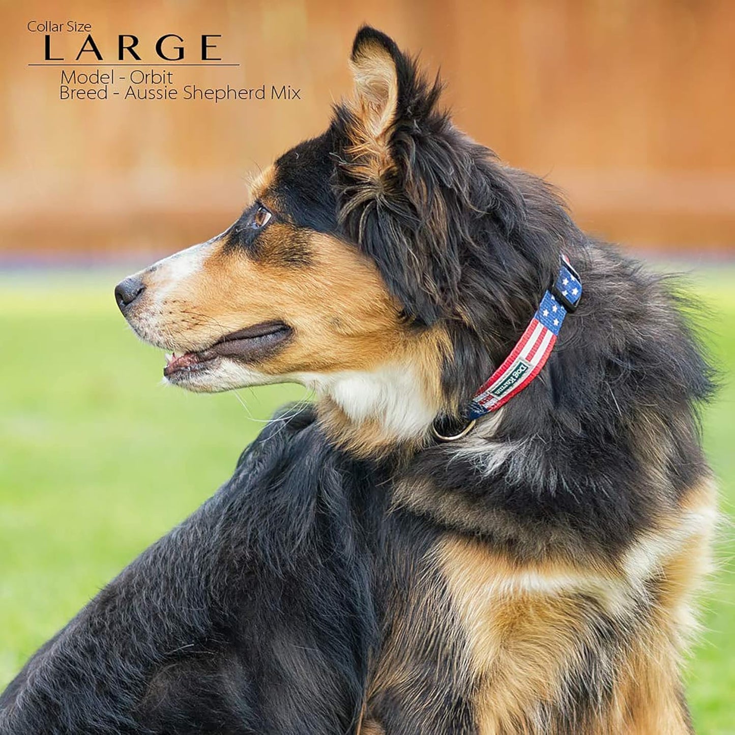American Flag Dog Collar in 5 Different Sizes Classic (Large)
