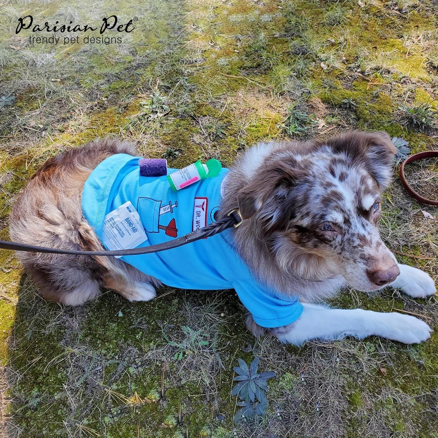 Dog Costume - Doctor Dog Costume - Halloween Shirt for Dogs - Doctor Cat Tshirt - Pet Halloween Tshirt - Shirt for Dogs - Sleeved Pet Tshirt - L