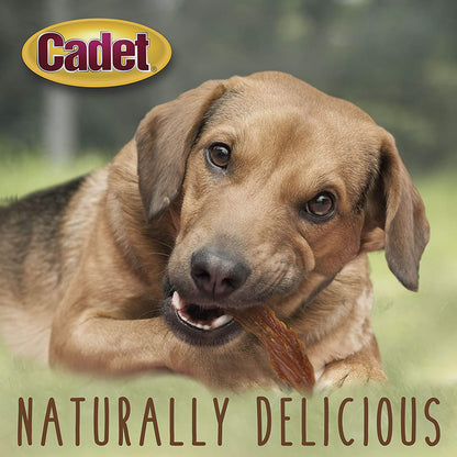 Gourmet Duck Breast Jerky Dog Treats, Healthy, Long-Lasting High-Protein Training Treats for Small & Large Dogs, 14 Oz.