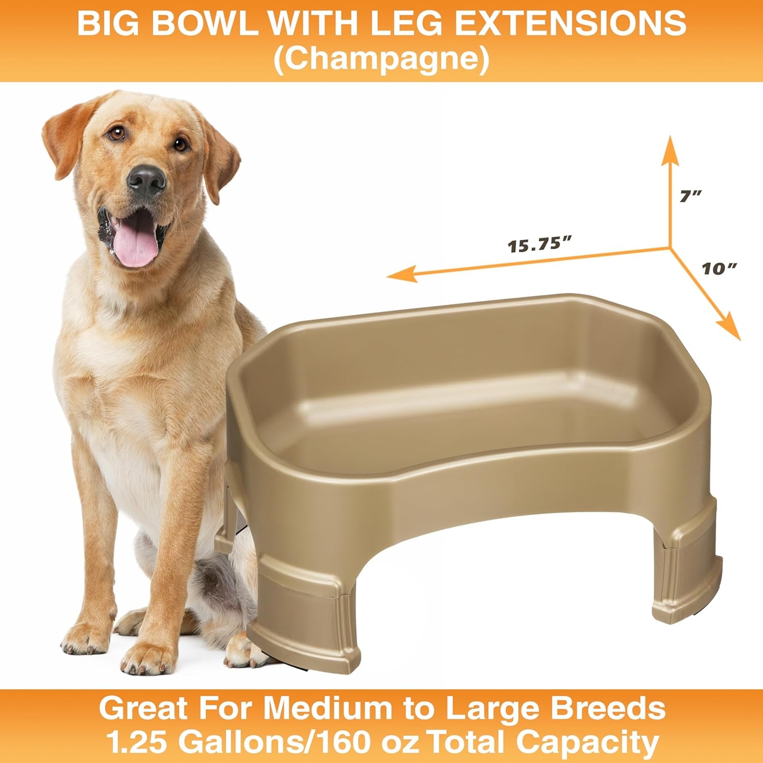 Large Water Bowl for Dogs, Raised Outdoor Dog Water Bowl (1.25 Gallon XL Capacity), Big Trough Style Food Dish for Indoors or Outside, No Spill Large Dog Bowls, Champagne
