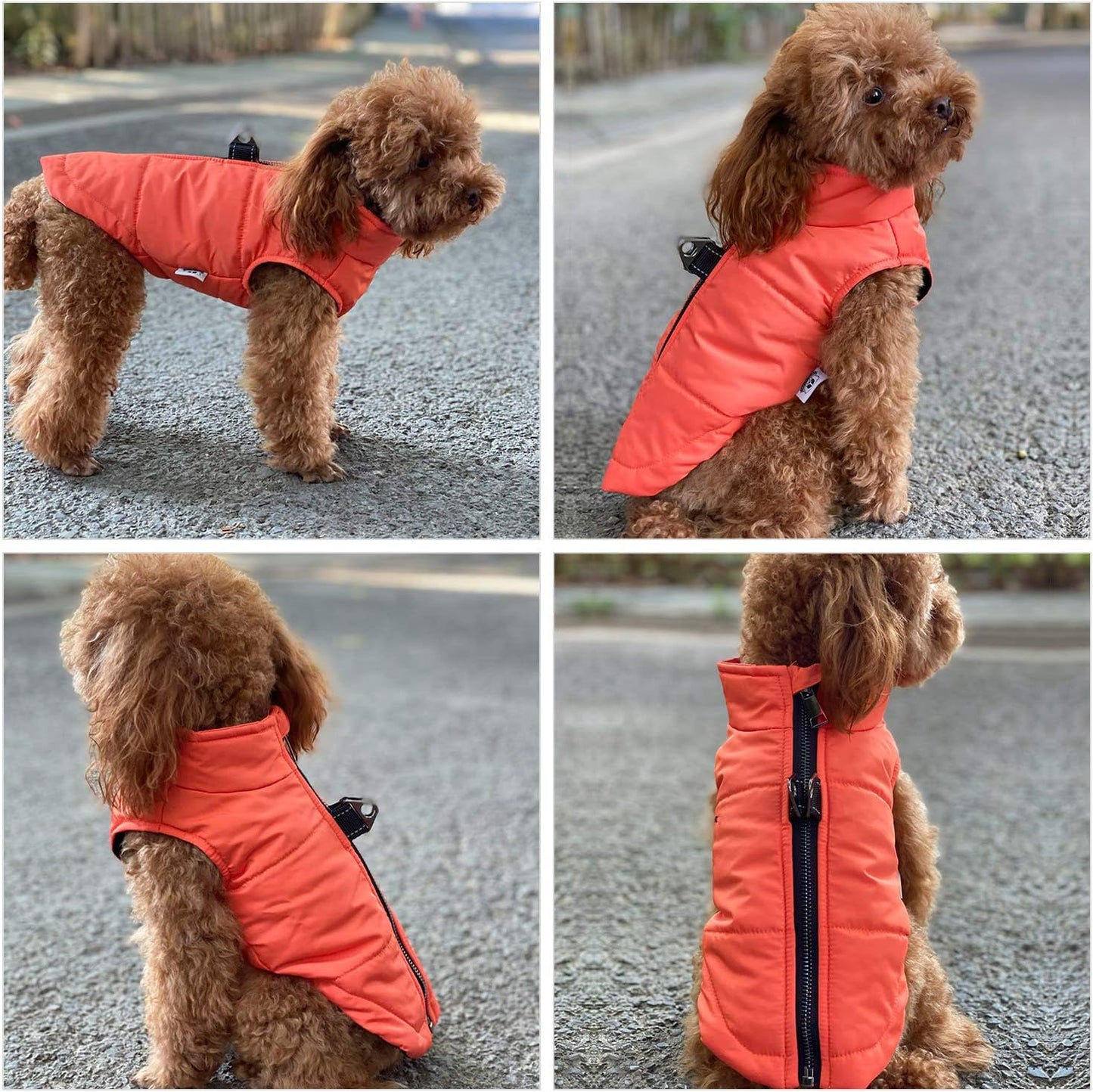 Orange M Dog Winter Coat, Waterproof, Ultra Warm, Windproof, Zippered Jacket, Breathable, Soft Cotton Lining for Small, Medium, Large Dogs