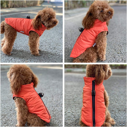 Orange M Dog Winter Coat, Waterproof, Ultra Warm, Windproof, Zippered Jacket, Breathable, Soft Cotton Lining for Small, Medium, Large Dogs