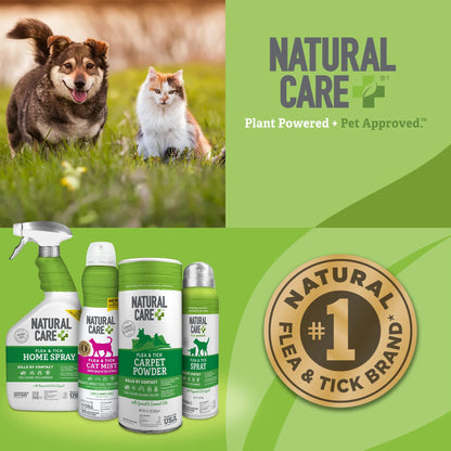(4 Pack)  Flea and Tick Carpet Powder - 8.1 Ounce Canister