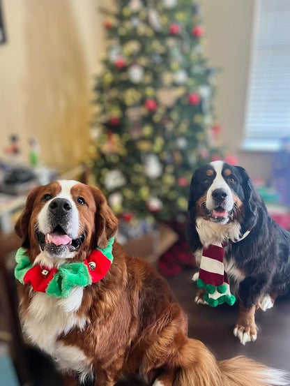 Christmas Striped Dog Scarf- Red/White & Green Pom Pom