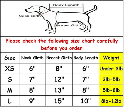 A Pet Small Dog Big Sister Print Hoodie for Cute Dogs Sweatshirt Puppy Winter Costume Hoodies