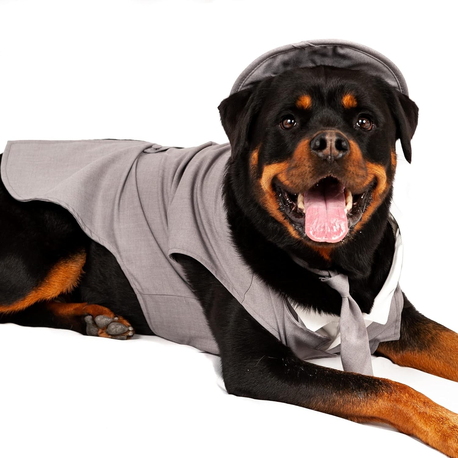 Dog Tuxedo Wedding Suit- Gray Top Hat & Leash (X-Large)