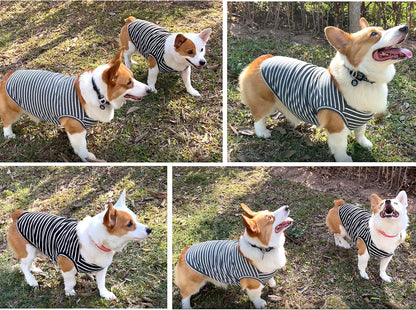 Dog Shirt Vest Lightweight Stretchy Dog T-Shirt Soft Cool Shirts Sleeveless Stripe Vests Breathable Clothes for Puppy Kitty Cats Small Medium Large Dogs 2 Pack Black + Grey [Xl/Extra Large]