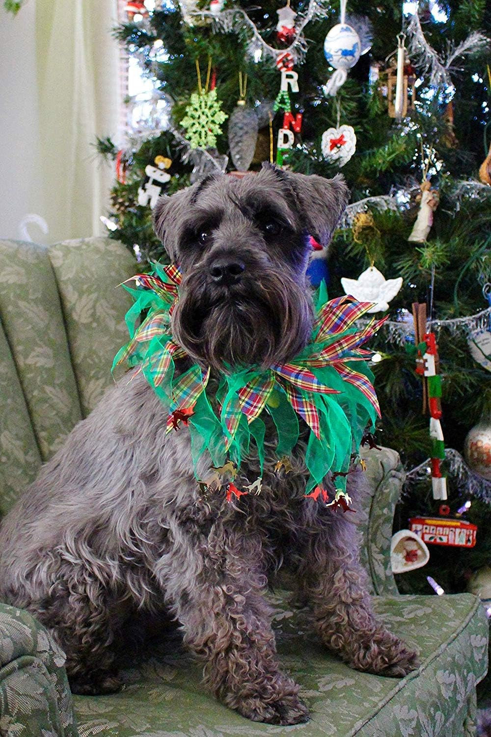 Plaid and Green Decorative Dog Collar (Small)