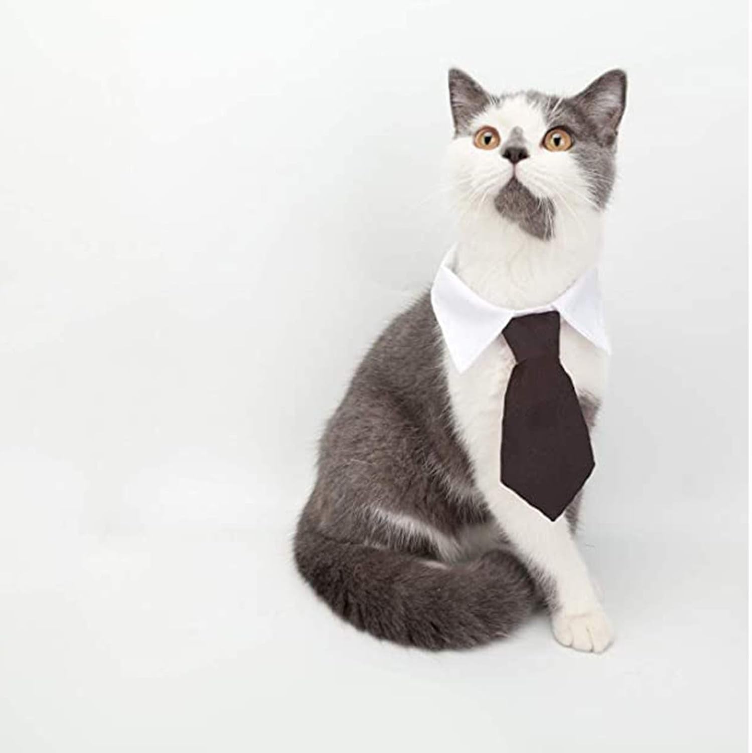 Pet Bow Tie Adjustable Formal Collar Neck Tie and Costume Company Top Hat for Cats Dogs Puppy Pets, 2 Pieces