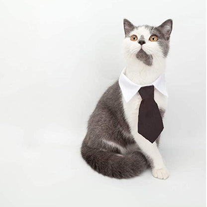 Pet Bow Tie Adjustable Formal Collar Neck Tie and Costume Company Top Hat for Cats Dogs Puppy Pets, 2 Pieces