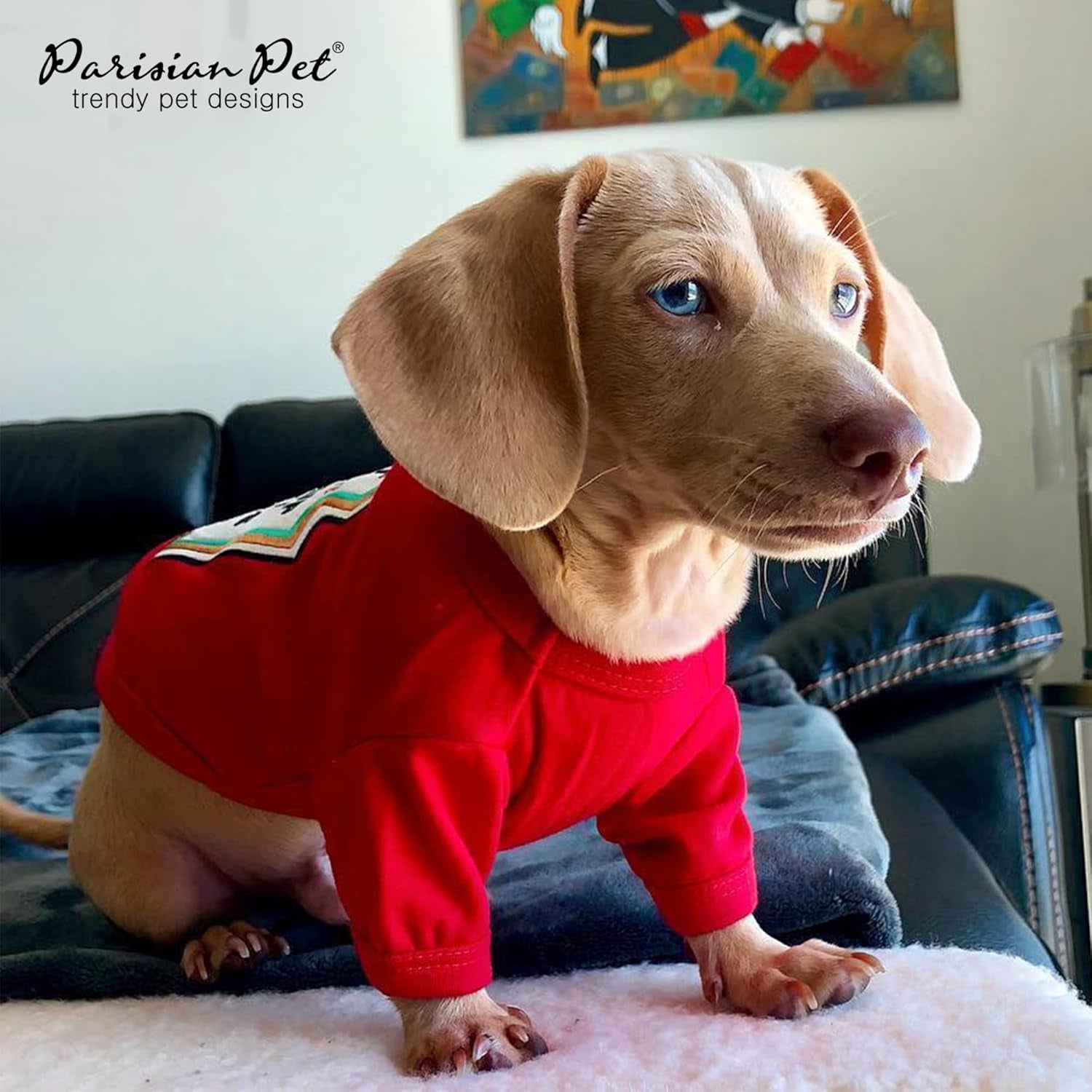 Dog Shirt - Embroidered “I Put Ketchup on My Treats“ - 100% Cotton and Polyester Dog Clothes - Sleeved, Lightweight Costume for Dogs - Red Shirts for Small Dogs - Pet Costumes - S
