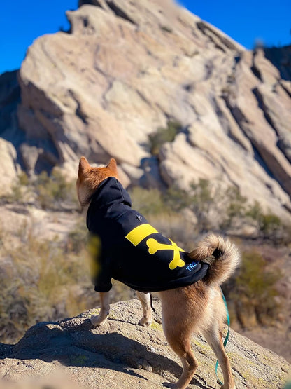 Stylish Dog Hoodie Dog Clothes Streetwear Cotton Sweatshirt Fashion Outfit for Dogs Cats Puppy Small Medium Large (5XL, Yellow)