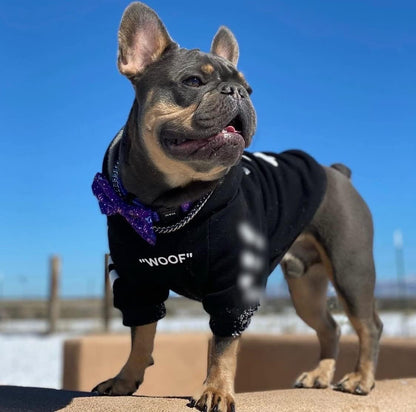 Stylish Dog Hoodie Dog Clothes Streetwear Cotton Sweatshirt Fashion Outfit for Dogs Cats Puppy Small Medium Large (2XL, Black)
