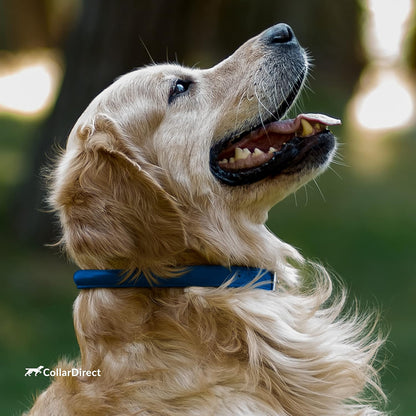 Rolled Leather Dog Collar, Soft Padded round Puppy Collar, Handmade Genuine Leather Collar Dog Small Large Cat Collars 13 Colors (13-16 Inch, Deep Blue Textured)